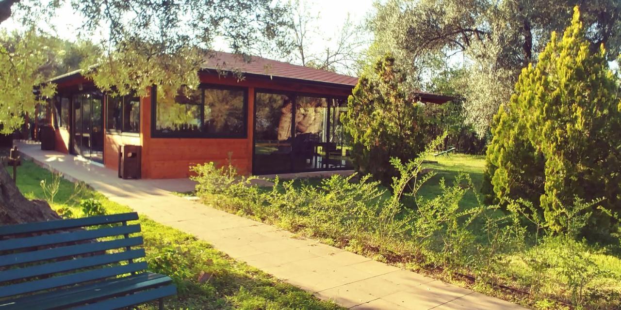 לינה וארוחת בוקר רוסאנו La Piana Degli Ulivi מראה חיצוני תמונה