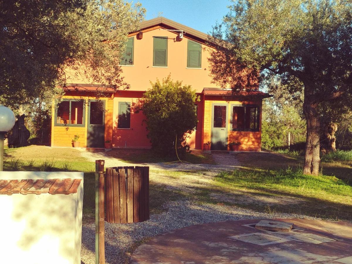 לינה וארוחת בוקר רוסאנו La Piana Degli Ulivi מראה חיצוני תמונה