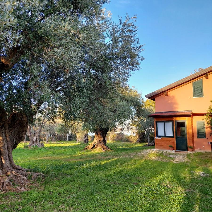 לינה וארוחת בוקר רוסאנו La Piana Degli Ulivi מראה חיצוני תמונה