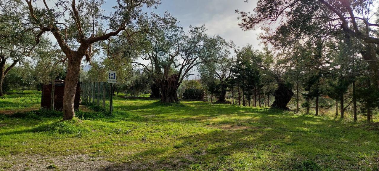 לינה וארוחת בוקר רוסאנו La Piana Degli Ulivi מראה חיצוני תמונה
