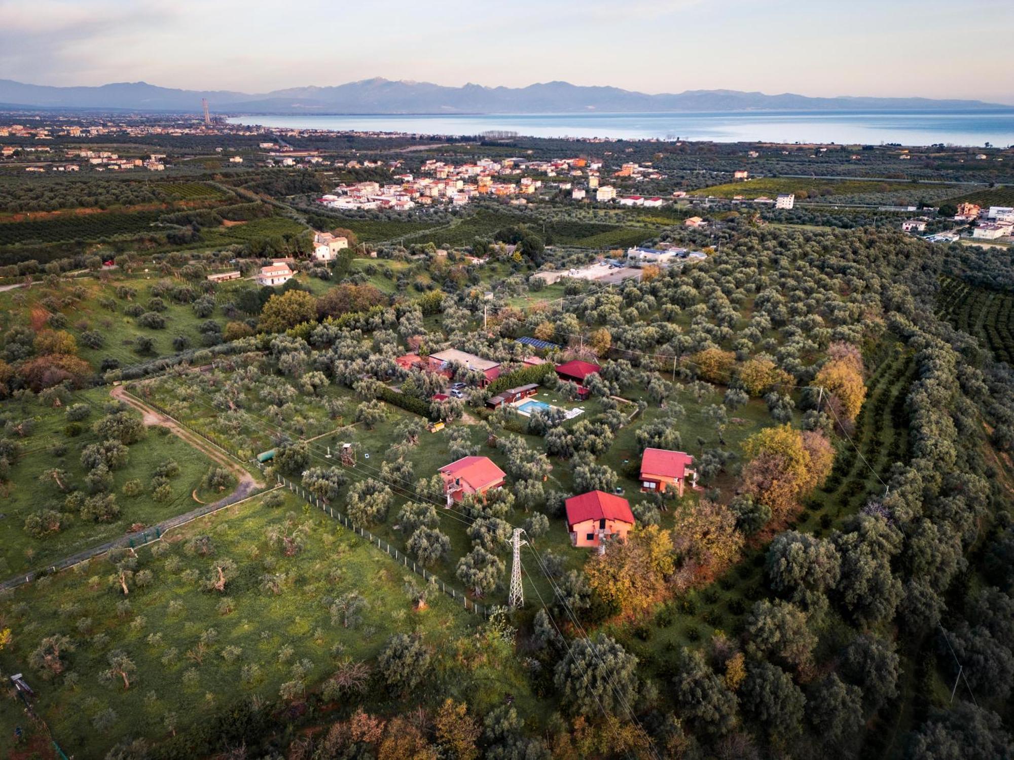 לינה וארוחת בוקר רוסאנו La Piana Degli Ulivi מראה חיצוני תמונה