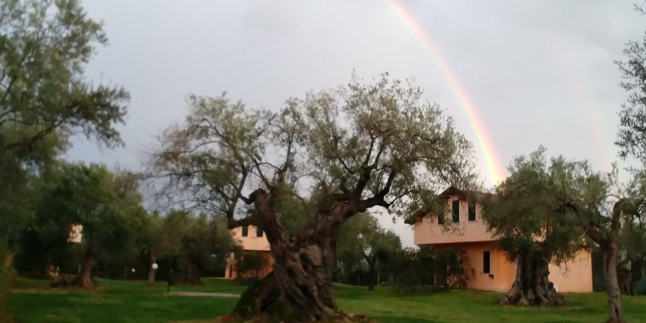 לינה וארוחת בוקר רוסאנו La Piana Degli Ulivi מראה חיצוני תמונה